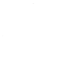 Texas Shoe Exchange