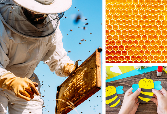 Here's The Buzz - Tanger Beekeeping Celebration!